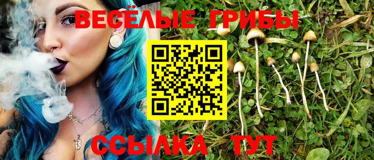 Псилоцибиновые грибы прущие грибы Пенза